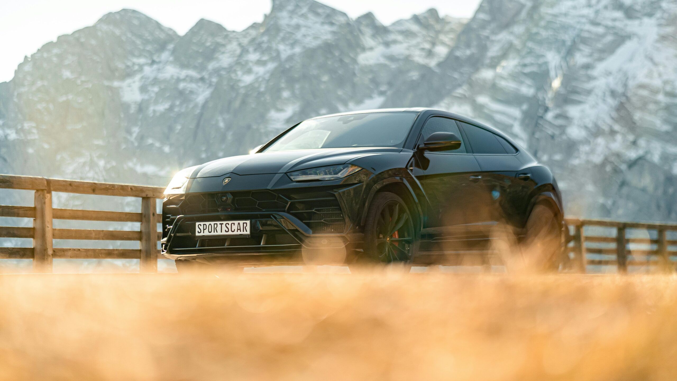 Lamborghini Urus rental